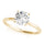 Diamond Engagement Ring RSK85121-1/2